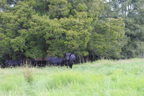 Photo of property in 16 Matai Drive, Maungaturoto, 0520