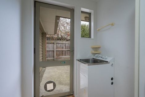 Photo of property in 38 Templemore Drive, Richmond, 7020