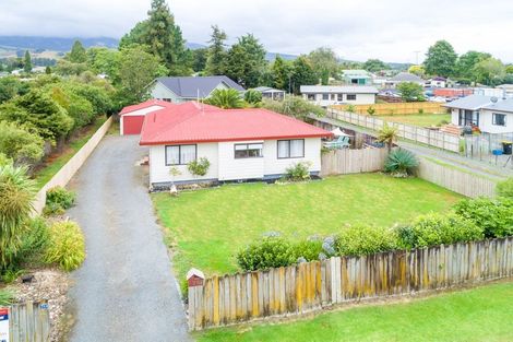 Photo of property in 248 Mcclure Street, Pirongia, 3802