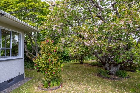 Photo of property in 26 Costley Street, Carterton, 5713