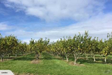 Photo of property in 344 Drury Hills Road, Drury, 2577