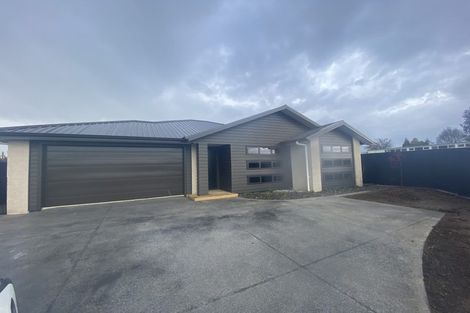 Photo of property in 37 Hoki Avenue, Morrinsville, 3300