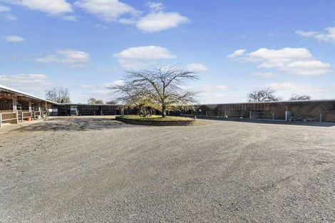 Photo of property in 134 Racecourse Road, Cambridge, 3493