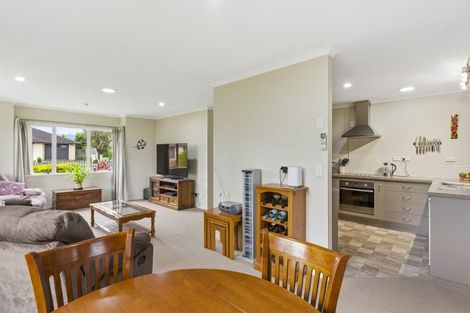 Photo of property in 63 Weraroa Road, Levin, 5510
