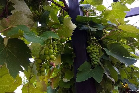 Photo of property in 2/246 Lake Road, Hauraki, Auckland, 0622