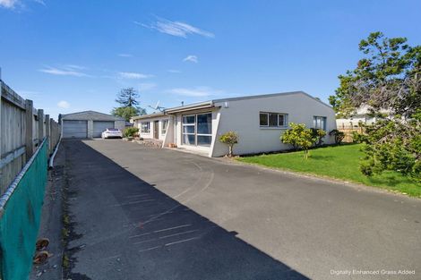 Photo of property in 309 Frederick Street, Mahora, Hastings, 4120
