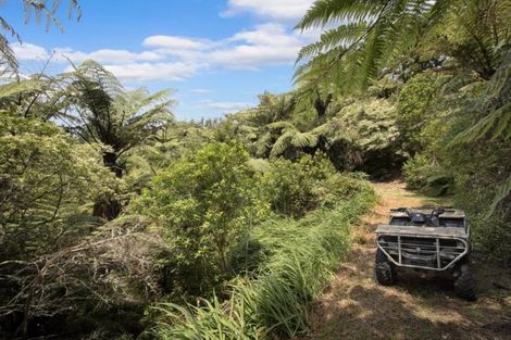 Photo of property in 166 Bulltown Road, Waihi, 3610