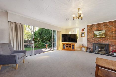 Photo of property in 45 Leefield Street, Blenheim, 7201