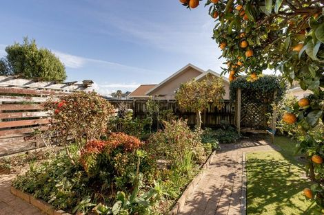 Photo of property in 10a Tutauanui Crescent, Maungatapu, Tauranga, 3112