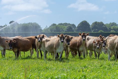 Photo of property in 383 Coutts Island Road, Coutts Island, Belfast, 7670