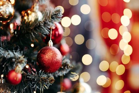 Photo of property in 44a Baird Street, Howick, Auckland, 2014