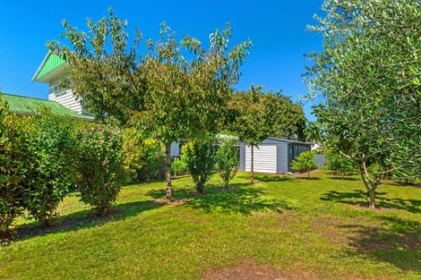 Photo of property in 44 Albert Street, Te Hapara, Gisborne, 4010