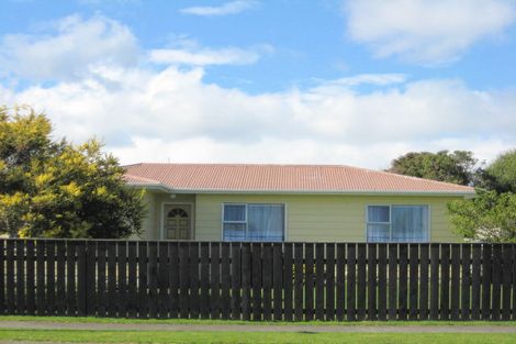 Photo of property in 15 Perth Street, Levin, 5510