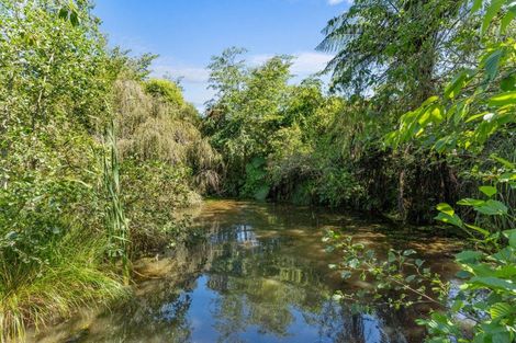 Photo of property in 223 Heatherlea East Road, Levin, 5571