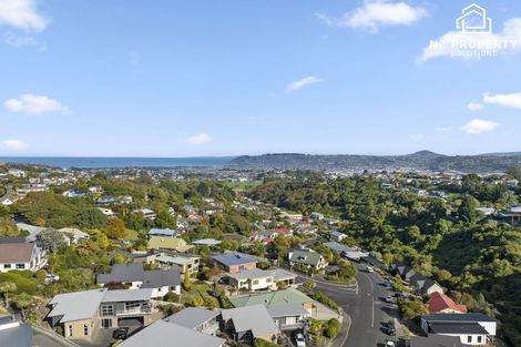 Photo of property in 199 Somerville Street, Shiel Hill, Dunedin, 9013