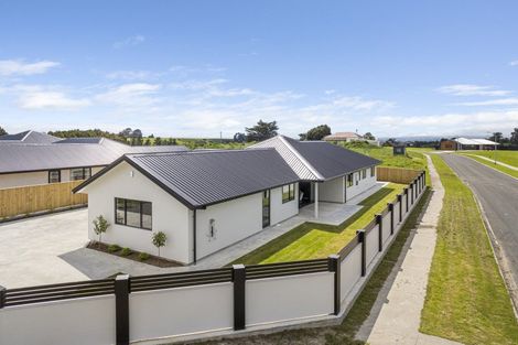 Photo of property in 172 Ranfurly Road, Feilding, 4702