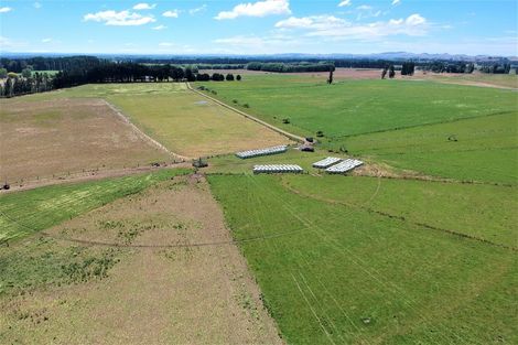Photo of property in 1/3389 State Highway 2, Takapau, 4281