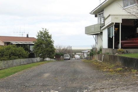 Photo of property in 123 Brunton Crescent, Thames, 3500