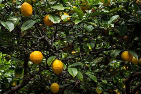 Photo of property in 5 Richmond Road, Mahina Bay, Lower Hutt, 5013