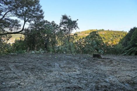 Photo of property in 47a Gillespies Road, Birchville, Upper Hutt, 5018