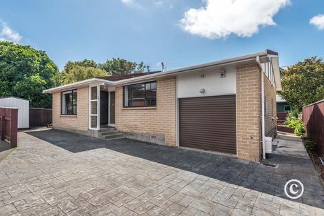 Photo of property in 16b Trafalgar Street, Johnsonville, Wellington, 6037