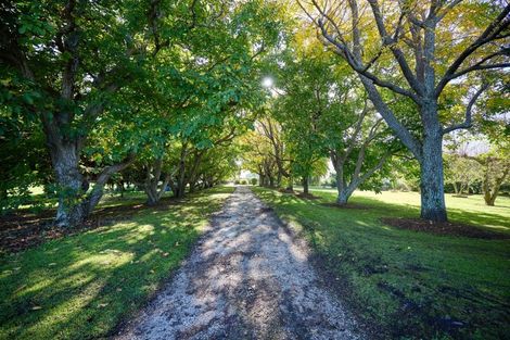 Photo of property in 373 Kincaid Road, Kaikoura Flat, Kaikoura, 7371