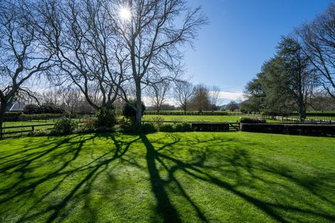 Photo of property in 370 Bellevue Road, Matangi, Cambridge, 3493