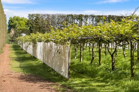 Photo of property in 76 Pukakura Road, Katikati, 3178
