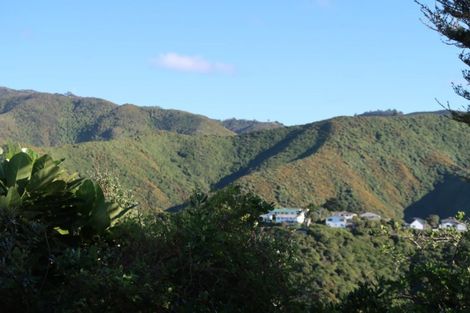 Photo of property in 168 The Ridgeway, Mornington, Wellington, 6021