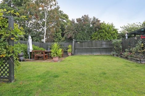 Photo of property in 116 Maddison Street, Akina, Hastings, 4122