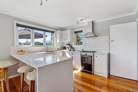 Photo of property in 51 Lincoln Street, Ashhurst, 4810