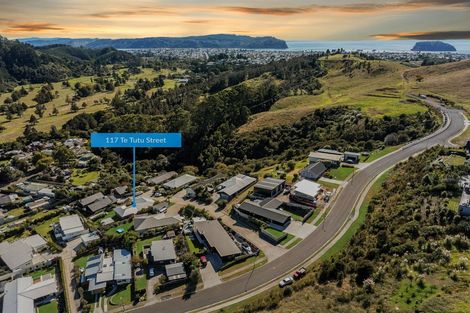 Photo of property in 117 Te Tutu Street, Whangamata, 3691