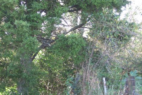 Photo of property in 13 Bennett Street, Warkworth, 0910