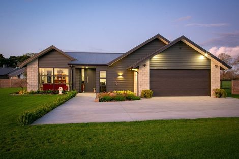 Photo of property in 41 Catalyst Avenue, Leamington, Cambridge, 3432