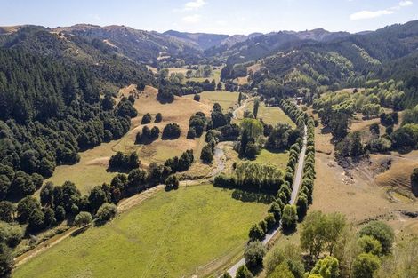 Photo of property in 196 Tinui Valley Road, Tinui Valley, Tinui, 5894