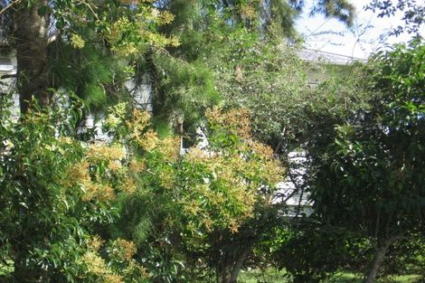 Photo of property in 12 Counsel Terrace, Mount Albert, Auckland, 1025