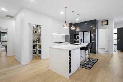 Photo of property in 76 Puni Road, Pukekohe, 2120