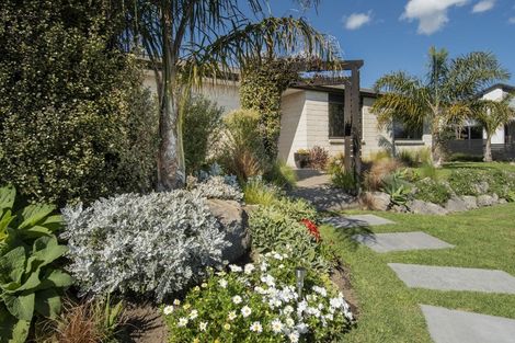 Photo of property in 3 Gumtree Lane, Omokoroa, 3114