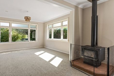 Photo of property in 17 Stratford Street, Blenheim, 7201