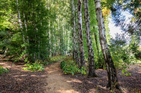 Photo of property in 529 Dunstan Road, Alexandra, 9391