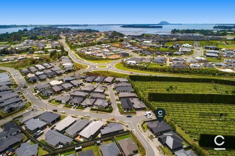 Photo of property in 44 Traverse Lane, Omokoroa, 3114