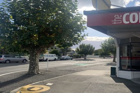 Photo of property in 45 Nelson Crescent, Napier South, Napier, 4110