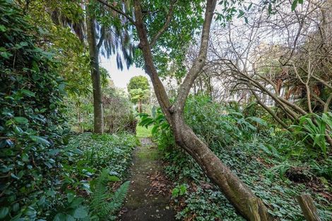 Photo of property in 20 Melrose Street, Roslyn, Dunedin, 9010