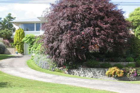 Photo of property in 38 Byron Street, Leamington, Cambridge, 3432