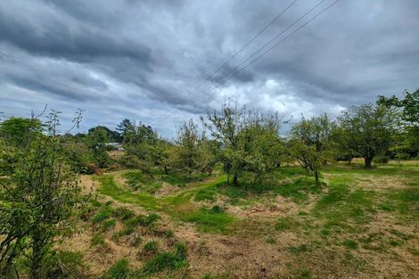 Photo of property in 600 Nelson Creek Road, Nelson Creek, Dobson, 7872