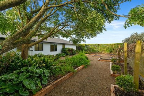 Photo of property in 383 Martin Road, Waerenga, Te Kauwhata, 3781