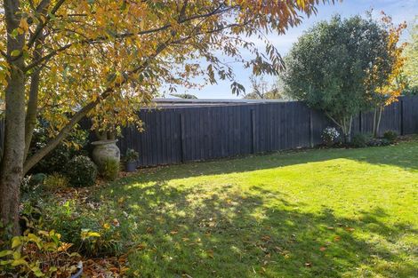 Photo of property in 52 Marshall Avenue, Richmond Heights, Taupo, 3330