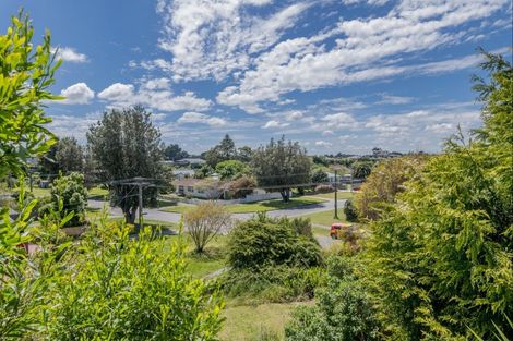 Photo of property in 10 Howe Street, Foxton, 4814