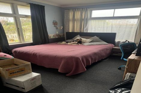 Photo of property in 47 Guy Avenue, Takaro, Palmerston North, 4410