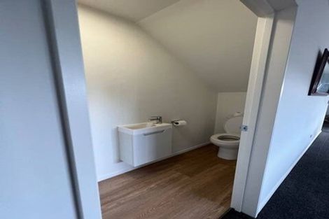 Photo of property in 17 Shearer Avenue, Papanui, Christchurch, 8052